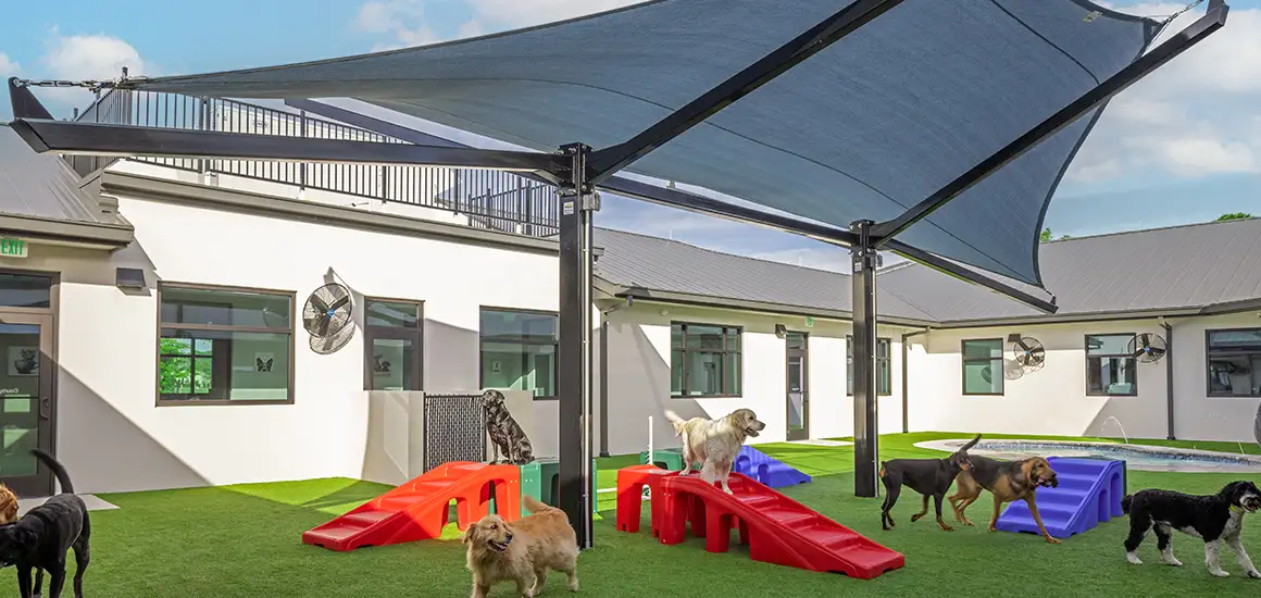 The Dog Days of Summer: Safeguarding Pets with Apollo Sunguard's Shade Structures